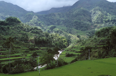 Une rivière dans un paysage toraja, 1993., A river in a Toraja landscape, 1993. (anglais), Sebuah sungai dalam sebuah pemandangan di Toraja, 1993.  (indonésien) la vignette
