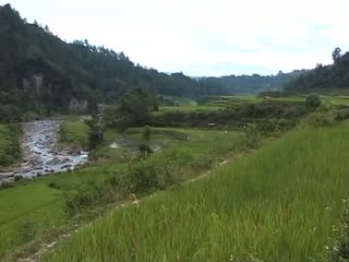 VIDEO : Rizières toraja, région Awan, 2005., VIDEO: Toraja paddy field landscape, Awan region, 2005. (anglais), Pemandangan sawah-sawah Toraja, Daerah Awan, 2005.  (indonésien) la vignette