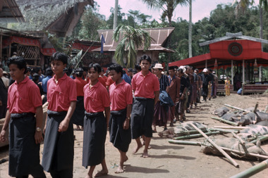 Cortèges d'invités masculins, Tallung Lipu, 1993., Lines of male guests, Tallung Lipu, 1993. (anglais), Iring-iringan tamu lelaki, Tallung Lipu, 1993. (indonésien) la vignette