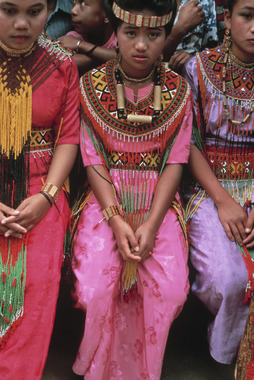 Costume de danseuse de gellu', 1993., Costume of gellu’ dancer, 1993. (anglais), Pakaian penari gellu’, 1993. (indonésien) la vignette