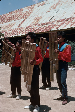 Orchestres de trompes polycalames, Mamasa, 1993., Bands of multi-pipe horns, Mamasa, 1993. (anglais), Orkes-orkes alat musik tiup dari bambu yang diikat menjadi satu, Mamasa, 1993. (indonésien) la vignette