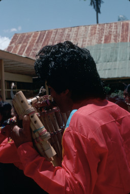 Detail of a multi-pipe horn., Détail d'une trompe polycalame. (French), Detail sebuah alat musik tiup dari beberapa bambu yang diikat menjadi satu. (Indonesian) thumbnail