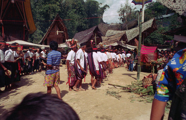 Deux groupes de simbong, Tiroan, décembre 1993., Two simbong groups can be seen standing and overlapping, Tiroan (Bittuang),1993. (anglais), Tampak dua kelompok simbong yang berdiri sangat berdekatan. Bittuang, Desember 1993. (indonésien) la vignette