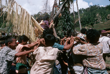 4. Rite of men carrying women. Deri, 1993., 4. Rite du port des femmes par les hommes, Deri, 1993. (French), 4. Ritus pengantaran perempuan oleh kaum lelaki. Deri, 1993. (Indonesian) thumbnail