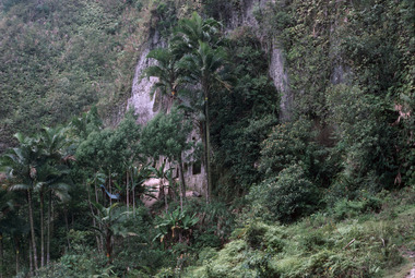 Toraja tombs, Baruppu', 1993., Sépultures toraja, Baruppu', 1993. (French), Makam-makam Toraja, Baruppu’, 1993.. (Indonesian) thumbnail