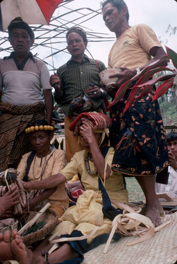 Bamba (Deri), 1993., Bamba (Deri) 1993. (anglais), Bamba, Deri 1993.  (indonésien) la vignette