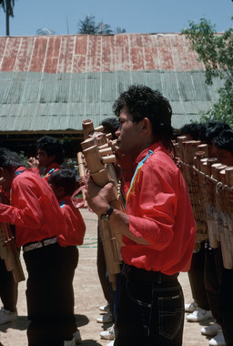 Trompes polycalames, Mamasa, 1993., Multi-pipe horns, Mamasa, 1993. (anglais), Alat-alat musik tiup dari beberapa bambu yang diikat menjadi satu, Mamasa, 1993. (indonésien) la vignette
