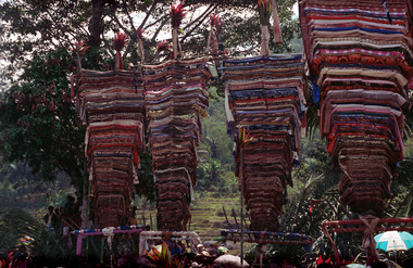 Ancestral cloths on the masts bate at the maro, Torea, 1993., Tissus ancestraux sur les mâts bate durant le rituel maro, Torea, 1993. (French), Kain leluhur pada tiang upacara bate dalam pesta maro, Torea, 1993. (Indonesian) thumbnail