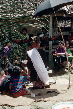 5. Vue de dos, une effigie à Pangleon (canton Saluputti), 1993., 5. Effigy seen from behind, Pangleon (Saluputti), 1993. (anglais), 5). Tampak belakang. Sebuah patung di Pangleon (Kecamatan Saluputti), 1993. (indonésien) la vignette