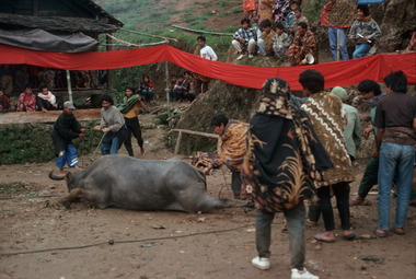 Sapan, 1993., Sapan, 1993. (anglais), Sapan, 1993. (indonésien) la vignette
