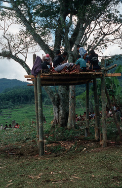 Platform (bala’kaan) on the megalith field, To’ Barana’, 2000., Plate-forme bala'kaan sur le champ mégalithique, To' Barana', 2000. (French), Bala’kaan di atas arena megalit, To’ Barana’, 2000. (Indonesian) thumbnail