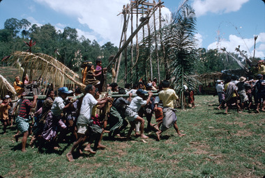 10. Rite of carrying women on a palanquin., 10. Rite du port des femmes sur un palanquin, Deri, 1993. (French), 10. Ritus pengantaran perempuan di atas tandu. (Indonesian) thumbnail