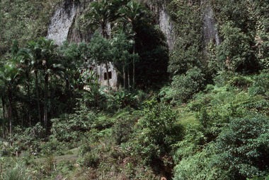 Falaises où reposent les cercueils, Baruppu', août 1993., Cliffs where the coffins lie, Baruppu', August 1993. (anglais), Dinding gunung batu, tempat jenazah-jenazah diletakkan dalam liang makam, Baruppu’, 1993. (indonésien) la vignette