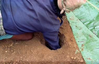 13. L'officiant creuse le trou., 13. The officiant digs the hole. (anglais), 13. Pemangku adat menggali lubang itu. (indonésien) la vignette