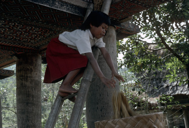 Sortie du riz du grenier à Baruppu', 1993., Rice leaving granary at Baruppu', 1993. (anglais), Padi sedang dikeluarkan dari lumbungnya di Baruppu’, 1993. (indonésien) la vignette