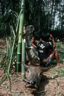 16. Le monolithe après le sacrifice, Bokko, 1993., 16. The monolith after the sacrifice, Bokko, 1993. (anglais), Monolit sesudah penyembelihan, Bokko, 1993. (indonésien) la vignette