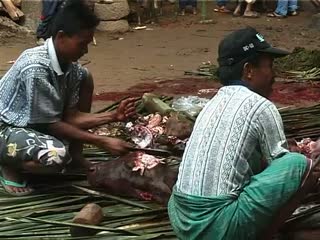 VIDEO : Découpe des parts de viande de buffle, funérailles de Ne' Sulo, To' Barana' 2000., VIDEO: Cutting up shares of buffalo meat, To’ Barana’, Ne’Sulo’s funeral, 2000. (anglais), Pemotongan gumpalan-gumpalan besar daging kerbau, To’ Barana’, pemakaman Ne’ Sulo, 2000. (indonésien) la vignette