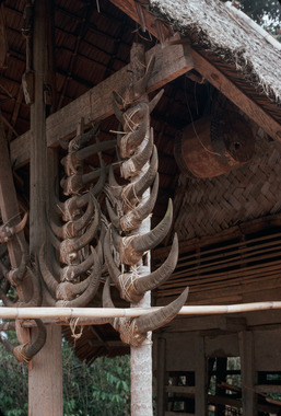 Suspendu sur une façade, à côté des cornes de buffles., Drum hanging from a façade, next to buffalo horns. (anglais), Digantungkan di bagian depan rumah, di sebelah tanduk-tanduk kerbau. (indonésien) la vignette