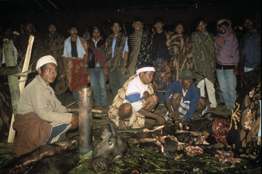 Au centre de la ronde badong, un cochon est partagé entre les chanteurs, à Lengkong, 1993., Badong at Lengkong, 1993. In the center of the round a pig is divided for the singers. (anglais), Tarian dalam lingkaran badong di Lengkong, 1993. Di tengah lingkaran, seekor babi dibagikan untuk para penyanyi. (indonésien) la vignette