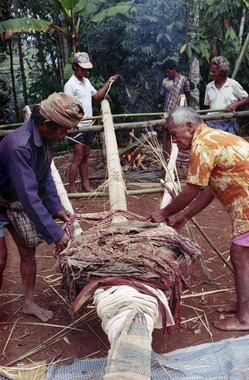 2. A to minaa begins hanging the ceremonial cloths, Sereale, 1993., 2.Un officiant to minaa commence à accrocher les tissus cérémoniels, Sereale, 1993. (French), 2. Seorang pemangku adat to minaa mulai memasang kain seremonial. Sereale, 1993. (Indonesian) thumbnail
