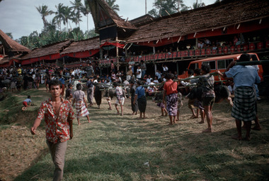 Apport des cochons, Mengkendek, 1991., Bringing pigs, Mengkendek, 1991. (anglais), Pemberian babi-babi, Mengkendek, 1991. (indonésien) la vignette