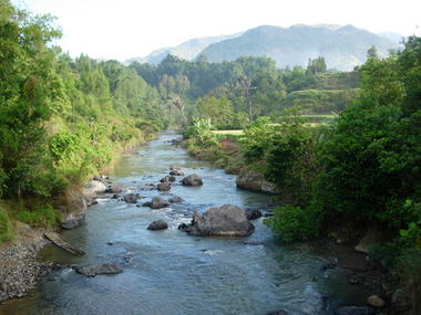 Rivière près de Pangngala', 2005., River near Pangala, 2005. (anglais), Sungai dekat Pangngala’, 2005. (indonésien) la vignette