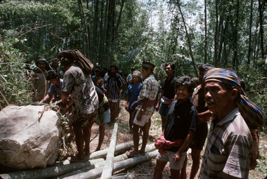 2. Déplacement d'un monolithe de la forêt vers le champ sacrificiel, Bokko, 1993., 2. Moving a monolith from the forest to the sacrificial field, Bokko, 1993. (anglais), 2). Pemindahan sebuah monolit (simbuang batu) dari hutan ke arena penyembelihan, Bokko, 1993. (indonésien) la vignette