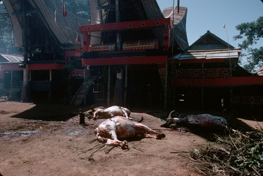 Deux défunts sur leur tour, lakkean sura', 1993., Two deceased on their tower, lakkean sura’, 1993. (anglais), Dua jenazah di atas lakkean sura’, 1993. (indonésien) la vignette