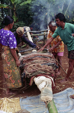 3. Les tissus sont fixés au mât cérémoniel bate, Sereale, 1993., 3. The cloths are fixed to the ceremonial mast bate, Sereale, 1993. (anglais), 3. Kain dipasang pada bendera seremonial bate. Sereale, 1993. (indonésien) la vignette