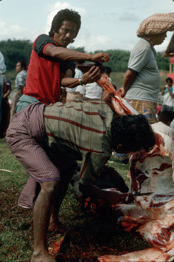 Dépeçage d'un buffle, 1993., Cutting up a buffalo, 1993. (anglais), Pemotongan daging seekor kerbau, 1993. (indonésien) la vignette