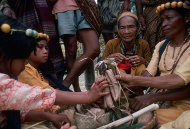 The old and young ‘officiated’ women (tumbang tua, tumbang muda, limbong bua’, and pondok bua’). Bamba (Deri), 1993., Les vieilles et jeunes officiées tumbang tua, tumbang muda, limbong bua' et pondok bua', Deri, 1993. (French), Perempuan tua dan muda yang dilantik tumbang tua, limbong bua’, pondok bua’. Deri, 1993. (Indonesian) thumbnail