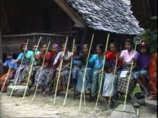 VIDEO: Rehearsal of song dandan or nani at Baruppu', 1993. Filmed by J. Simonnot., VIDEO : Répétition de chant dandan ou nani à Baruppu', 1993. Images J. Simonnot. (French), Latihan nyanyian dandan atau nani di Baruppu’, 1993. Difilmkan oleh J. Simonnot dan D. Rappoport. (Indonesian) thumbnail