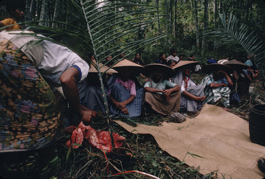 Jour des sacrifices, à Bokko, septembre 1993., Day of sacrifices, Bokko, September 1993. (anglais), Bokko, Sept 1993. Hari pengorbanan. (indonésien) la vignette