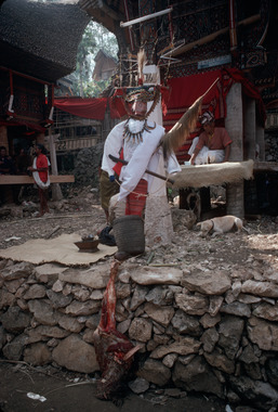 25. The effigy (tau-tau) Bokko, September 1993., 25. Effigie tau-tau à Bokko, septembre 1993 (French), 8). Patung tau-tau, Bokko, September 1993. (Indonesian) thumbnail