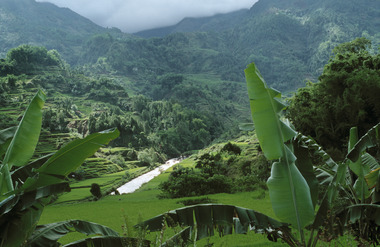 Paysage de la région de Pangngala', 2000., Landscape northwestof Rantepao in the Pangala region, 2000. (anglais), Pemandangan di daerah barat-laut Rantepao, wilayah Pangngala’, 2000. (indonésien) la vignette