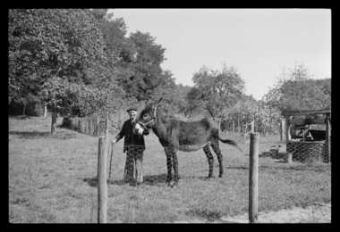 Louis Pinsolle avec sa mule (French) thumbnail