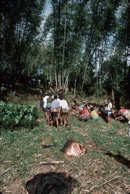 12. Arrivée du monolithe sur le champ rante, Bokko, 1993., 12. Arrival of the monolith on the field rante, Bokko 1993. (anglais), Kedatangan monolit dalam arena rante, Bokko, 1993. (indonésien) la vignette