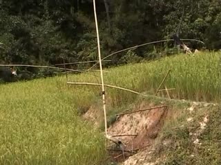 VIDEO : Épouvantails sonores (la'pa-la'pa), Awan, 2005., VIDEO: Sound-making bird-scarers (la'pa-la'pa), Awan region. (anglais), Video orang-orangan yang berbunyi (la’pa-la’pa), daerah Awan. (indonésien) la vignette