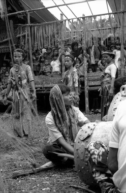 Gellu’ dancers and drummers at the bua’ kasalle, Deri, 1993., Danseuses de ma'gellu' et tambourinaires au rituel bua' kasalle, Deri, 1993. (French), Para penari ma’gellu’ dan pemukul gendang pada ritus bua’, Deri, 1993. (Indonesian) thumbnail