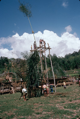 La tour gorang bulaan ou bala'kaan boro, Bamba (Deri), 1993., The gorang bulaan platform. Bua’ kasalle, Bamba (Deri), 1993. (anglais), Menara gorang bulaan atau bala’kaan boro, ritus bua’, Bamba, Deri, 1993. (indonésien) la vignette