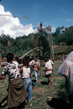 Erecting a long bamboo (lumbaa) in the center of the platform, Bamba (Deri), 1993., Érection d'un long bambou appelé lumbaa au centre de la plate-forme, Bamba (Deri), 1993. (French), Penegakan sebatang bambu yang tinggi, dikenal dengan sebutan lumbaa, di tengah menara, Bamba, Deri, 1993. (Indonesian) thumbnail