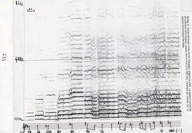 Spectrogram 6: From mixed-sex dondi’ chorus, Pangngala’. The spectrum covers the first 30 harmonics, up to about 8 kHz (h1±250 Hz). The energy is intense over a broad harmonic spectrum., Sonagramme 6 : Extrait de chœur mixte dondi', Pangngala'. Le spectre couvre les 30 premiers harmoniques, jusque vers 8 KHz (h1± 250 Hz). L'énergie est intense sur un spectre harmonique assez large. (French), Sonag. 6: Cuplikan kor campuran dondi’, Pangngala’. Spektrum memperlihatkan ketiga puluh harmonik pertama sampai ke 8 KHz (h1 ± 250 Hz). Energinya intens pada suatu spektrum harmonik yang sangat luas.  (Indonesian) thumbnail