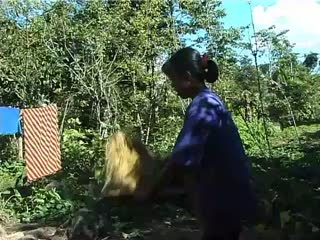 VIDEO : Mouvement de vannage (manta'pi), Baruppu', 2001., VIDEO: Winnowing movement (manta’pi). Baruppu', 2001. (anglais), Gerakan penampian (manta’pi). Baruppu’, 2001. (indonésien) la vignette