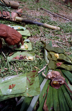 Offerings on the ceremonial field. Deri 1993., Offrandes sur le grand champ, Deri, 1993. (French), Persembahan di atas arena kala’paran, Deri, 1993. (Indonesian) thumbnail