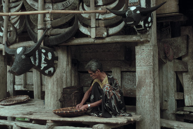 Deux têtes de buffles, Baruppu', 1993., Two buffalo heads, Baruppu', 1993. (anglais), Dua kepala kerbau, Baruppu’, 1993. (indonésien) la vignette