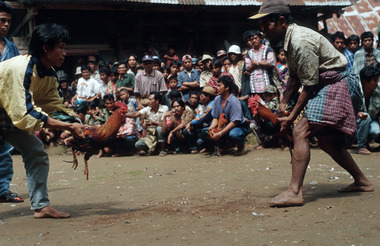 Combat de coqs pendant les funérailles de Ne' Sulo, To' Barana', 2000., Cock fight during Ne’Sulo’s funeral, 2000. (anglais), Sabung ayam pada upacara pemakaman Ne’ Sulo, 2000. (indonésien) la vignette