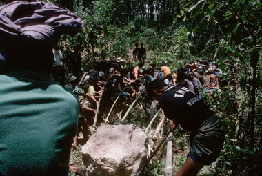 7. Moving a monolith from the forest to the sacrificial field, Bokko, 1993., 7. Déplacement d'un monolithe de la forêt vers le champ sacrificiel, Bokko, 1993. (French), 7). Pemindahan sebuah monolit (simbuang batu) dari hutan ke arena penyembelihan, Bokko, 1993. (Indonesian) thumbnail
