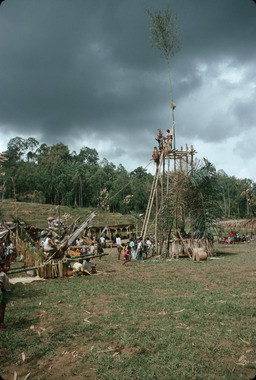 Rituel singgi' lors de la fête bua' kasalle, Deri, 1993., Singgi' during bua' kasalle, Deri, 1993. (anglais), Singgi' waktu bua' kasalle, Deri, 1993. (indonésien) la vignette
