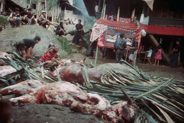Cutting up, 1993., Découpe, 1993. (French), Pemotongan, 1993. (Indonesian) thumbnail