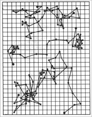 Figure 6 - Dessin représentant le mouvement brownien de trois
          particules distinctes. Au moyen d’un projecteur, l’image de la
          solution est projetée sur un écran dépoli et quadrillé. A
          intervalles réguliers, les positions successives d’une particule
          sont notées par des points, ce qui permet de calculer le déplacement
          moyen des particules. 
          